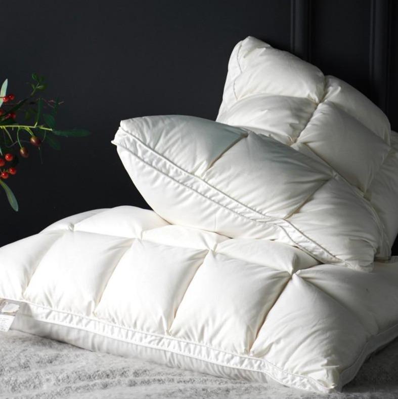 Set of 2 goose down filling Giancarlo Pillows in white color.