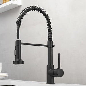 Michael Spring Spout Pull-Down Single-Hole Kitchen Sink Faucet in black color.