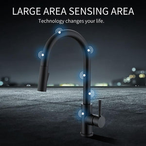 Albert Nordic Touch Sensor Pull-Down Single-Hole Kitchen Sink Faucet