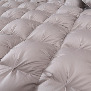 Giuseppina 1000 Thread Count Goose Down Comforter Bedding Set in Gray Color