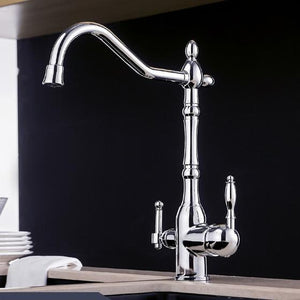 Chrome Galileo Galilei Kitchen Faucet mounted on a dual kitchen sink.